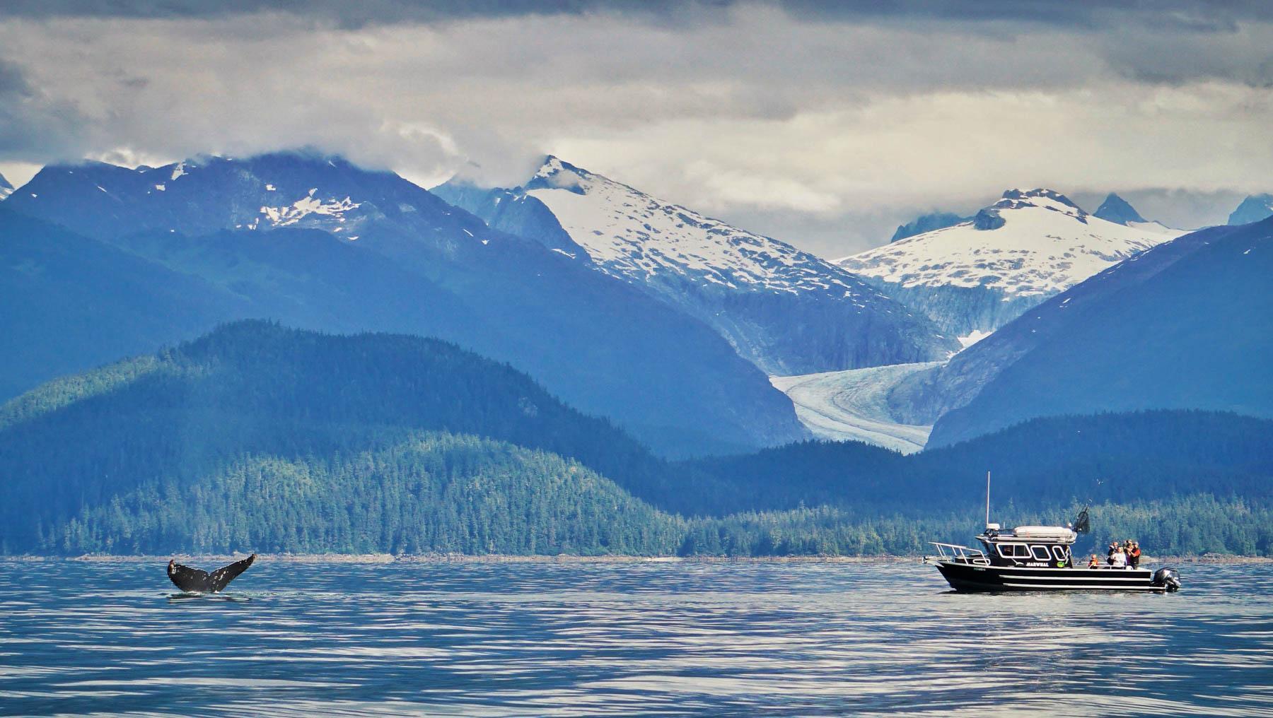 Whale Watching Juneau Alaska